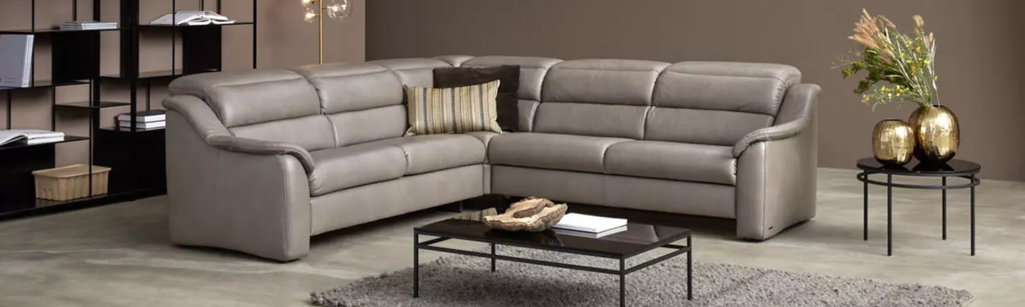 Himolla Leather Sofas & Chairs