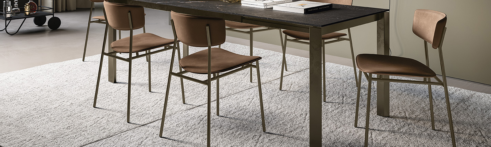 Dining Chairs