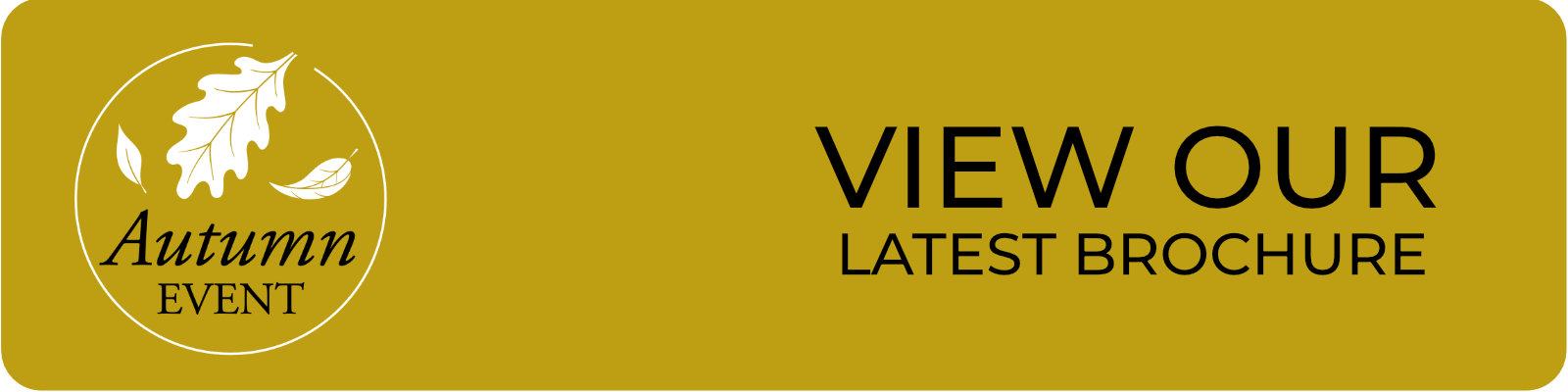 Brochure Link